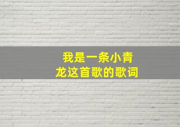 我是一条小青龙这首歌的歌词