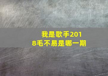 我是歌手2018毛不易是哪一期