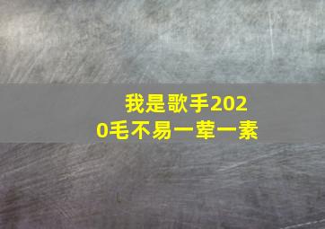 我是歌手2020毛不易一荤一素