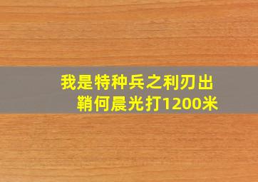 我是特种兵之利刃出鞘何晨光打1200米