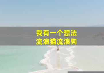 我有一个想法流浪猫流浪狗