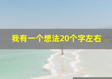 我有一个想法20个字左右