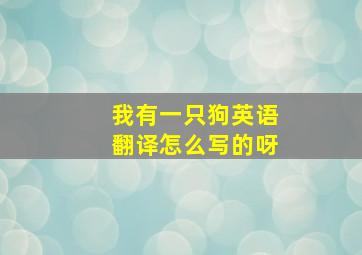 我有一只狗英语翻译怎么写的呀