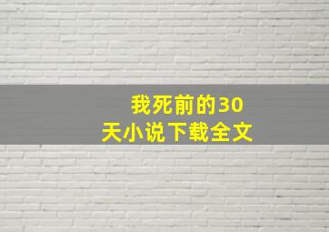 我死前的30天小说下载全文