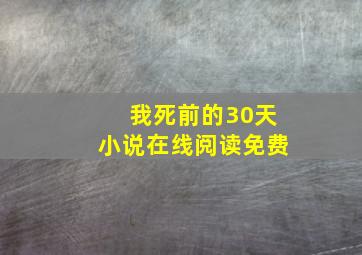 我死前的30天小说在线阅读免费