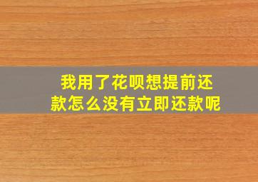 我用了花呗想提前还款怎么没有立即还款呢