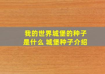 我的世界城堡的种子是什么 城堡种子介绍