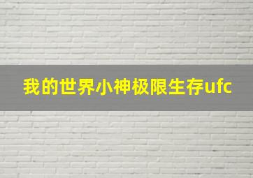 我的世界小神极限生存ufc