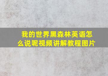 我的世界黑森林英语怎么说呢视频讲解教程图片