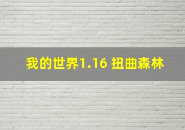 我的世界1.16 扭曲森林