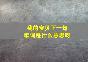 我的宝贝下一句歌词是什么意思呀