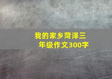 我的家乡菏泽三年级作文300字