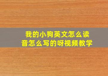 我的小狗英文怎么读音怎么写的呀视频教学