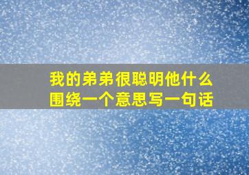 我的弟弟很聪明他什么围绕一个意思写一句话