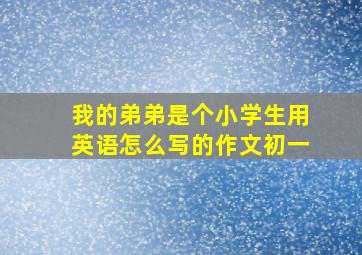 我的弟弟是个小学生用英语怎么写的作文初一