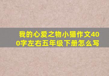 我的心爱之物小猫作文400字左右五年级下册怎么写