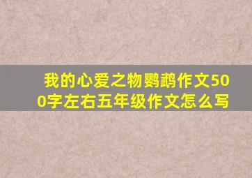 我的心爱之物鹦鹉作文500字左右五年级作文怎么写