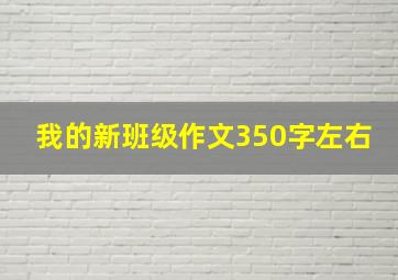 我的新班级作文350字左右