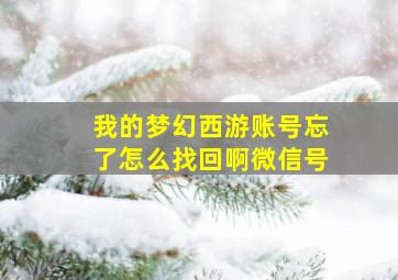 我的梦幻西游账号忘了怎么找回啊微信号