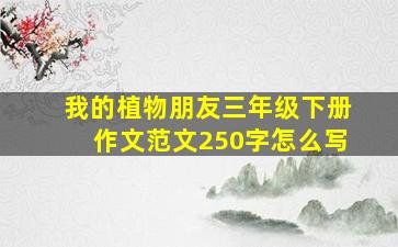 我的植物朋友三年级下册作文范文250字怎么写