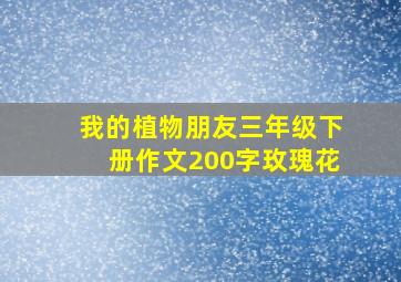 我的植物朋友三年级下册作文200字玫瑰花