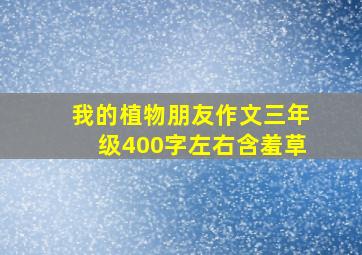 我的植物朋友作文三年级400字左右含羞草