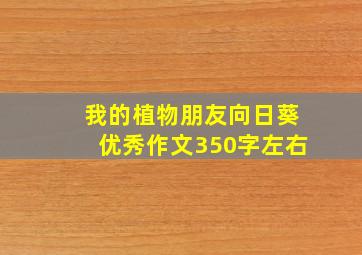 我的植物朋友向日葵优秀作文350字左右