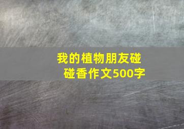 我的植物朋友碰碰香作文500字