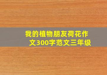 我的植物朋友荷花作文300字范文三年级