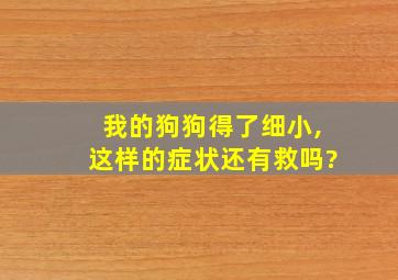 我的狗狗得了细小,这样的症状还有救吗?