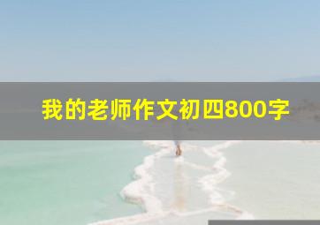 我的老师作文初四800字