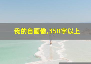 我的自画像,350字以上