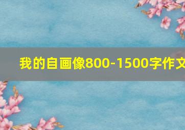 我的自画像800-1500字作文