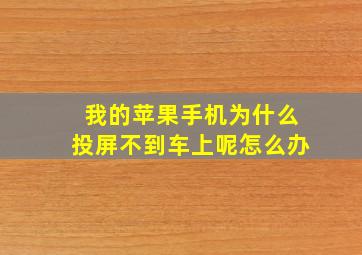 我的苹果手机为什么投屏不到车上呢怎么办