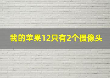 我的苹果12只有2个摄像头