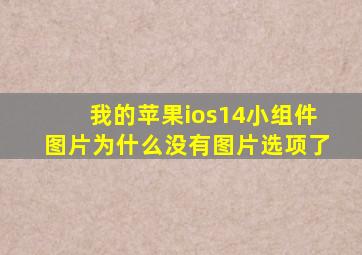 我的苹果ios14小组件图片为什么没有图片选项了