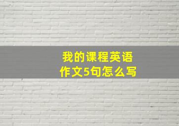 我的课程英语作文5句怎么写