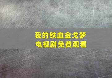 我的铁血金戈梦 电视剧免费观看