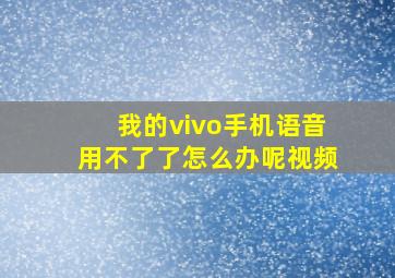 我的vivo手机语音用不了了怎么办呢视频