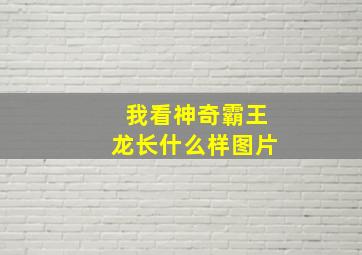 我看神奇霸王龙长什么样图片