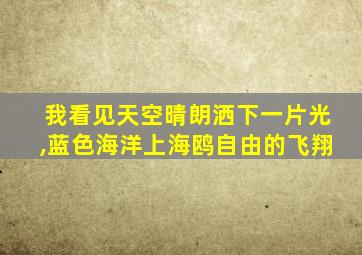 我看见天空晴朗洒下一片光,蓝色海洋上海鸥自由的飞翔