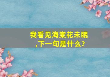 我看见海棠花未眠,下一句是什么?