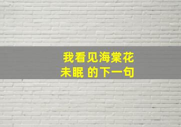 我看见海棠花未眠 的下一句