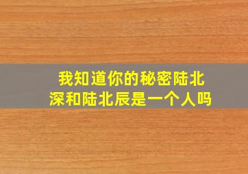 我知道你的秘密陆北深和陆北辰是一个人吗