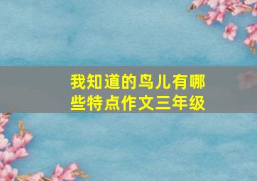 我知道的鸟儿有哪些特点作文三年级