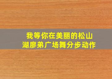 我等你在美丽的松山湖廖弟广场舞分步动作