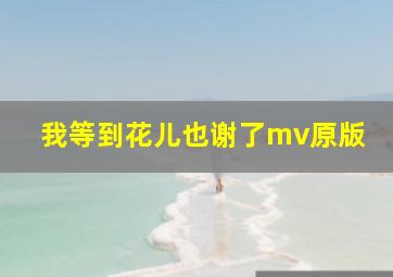 我等到花儿也谢了mv原版