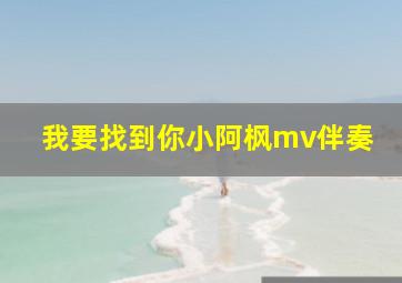 我要找到你小阿枫mv伴奏