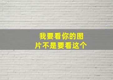 我要看你的图片不是要看这个