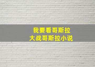 我要看哥斯拉大战哥斯拉小说